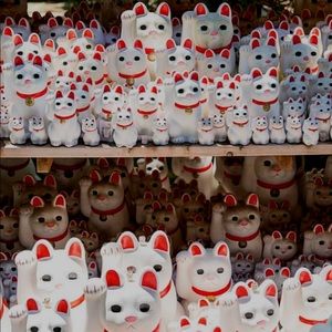 Meet your Posher, Patrick